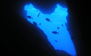 Diving area