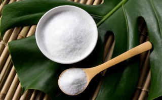 Seasonal Food Ingredients