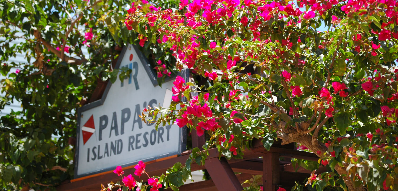 PAPA’S ISLAND RESORT