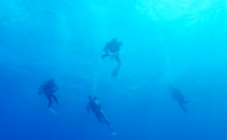 ダイビングエリア