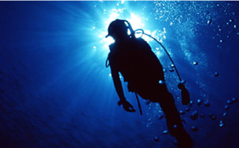 ダイブマスター・コース